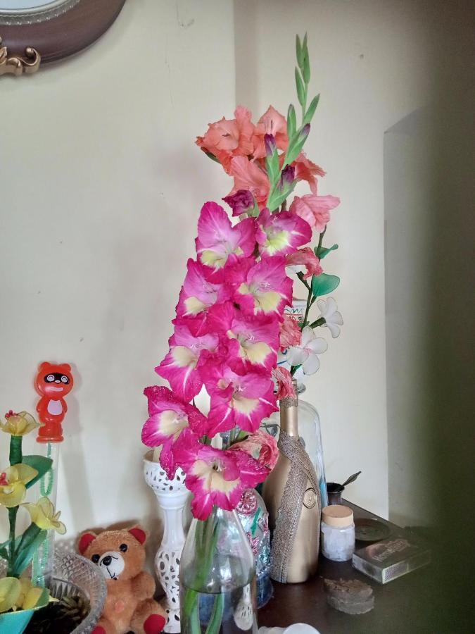 קוטאגירי Zeus Bungalow מראה חיצוני תמונה